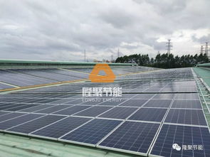 绿色能源助力降本增效 东莞标域纸品厂光伏发电系统并网成功，电费削减显著